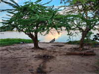 The Indigenous Guard of the Shipibo people face up to exclusionary conservation in Peru and propose an Indigenous ecological area