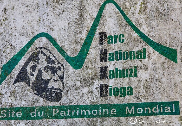 Parc National Kahuzi Biega - DRC. Credit: Dominique Linel: https://www.flickr.com/photos/37853591@N05/49892976343