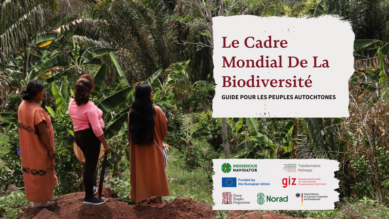 Le Cadre Mondial De La Biodiversité: Guide Pour Les Peuples Autochtones