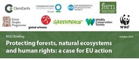Protecting forests, natural ecosystems and human rights: a case for EU action