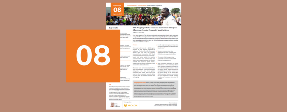 ‘Still struggling with the commons’ An Overview of Progress & Problems Securing Community Lands in Africa