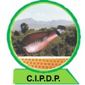 CIPDP logo