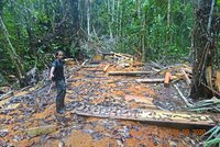 Peruvian State fails to protect the rainforests defended by Kichwa communities in Huimbayoc, San Martín [Spanish only]