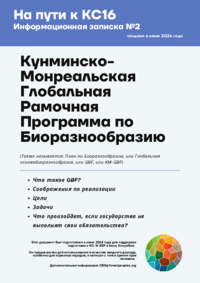 KMGBF_info_note_RU.pdf