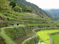 FPP with SwedBio at the 11th meeting of the Ad Hoc Open-ended Working Group on Article 8(j) and Related Provisions of the Convention on Biological Diversity