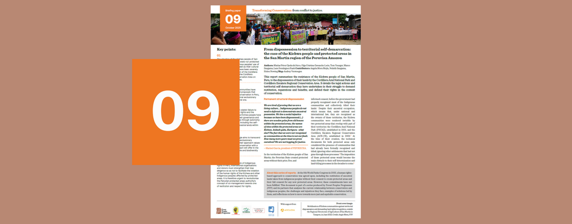 From dispossession to territorial self-demarcation: the case of the Kichwa people and protected areas in the San Martin region of the Peruvian Amazon