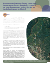 Assurer_une_bonne_mise_en_œuvre_de_la_conservation_et_des_droits_–_points_de_vue_des_peuples_autochtones_sur_la_réalisation_de_la_Cible_3.pdf