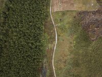 Open letter raises concerns over deforestation and Indigenous Peoples rights' violations in pulp and paper company's supply chain in Indonesia