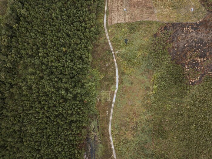 Open letter raises concerns over deforestation and Indigenous Peoples rights' violations in pulp and paper company's supply chain in Indonesia