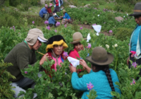 Convocatoria a las organizaciones de pueblos indígenas y comunidades locales para la presentación de estudios de caso