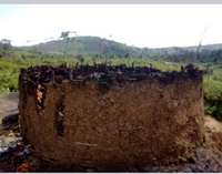 PRESS RELEASE: Fresh atrocities in Kahuzi-Biega National Park in the name of “security” and “conservation”