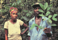 Challenges and opportunities in the adoption of community forestry in RoC