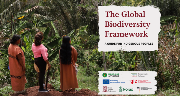 The Global Biodiversity Framework: A Guide for Indigenous Peoples