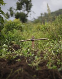 New report exposes brutal expulsion of Indigenous communities from their ancestral land in DRC