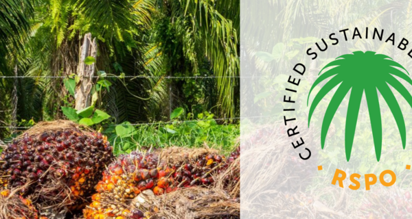 Why the RSPO’s Latest Appeals Decision Puts the Entire RSPO System at Risk