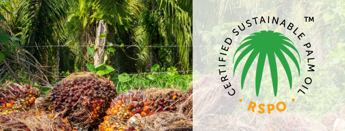 Why the RSPO’s Latest Appeals Decision Puts the Entire RSPO System at Risk