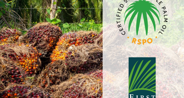 RSPO Complaints Panel Decision on Shadow Companies Highlights Urgent Need to Reform Membership Rules Joint Statement