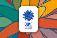 COP16 – Ensuring that Indigenous Peoples and local communities play a key role in the monitoring and implementation of the Biodiversity Plan