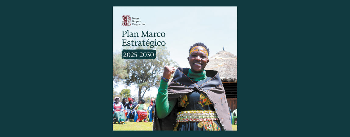 Plan Marco Estratégico 2025-2030