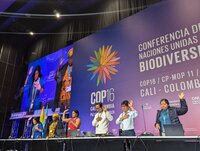 La tenencia de la tierra es aceptada en el Marco Mundial de Biodiversidad como una medida de progreso