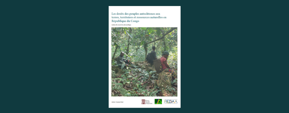 Dark teal background with a report cover.