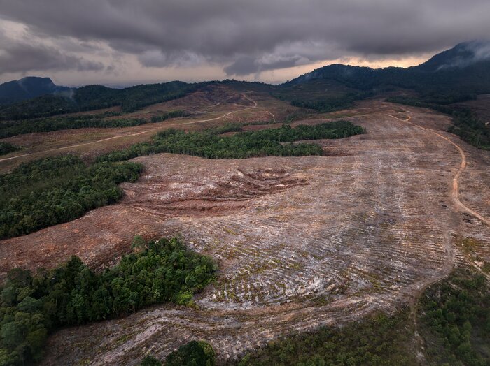 The Forest Stewardship Council's Remedy Framework