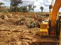 COMUNICADO DE PRENSA: la Mesa Redonda sobre el Aceite de Palma Sostenible se niega a frenar violaciones de derechos humanos y deforestación en cadena de suministro de Alicorp en la Amazonía peruana