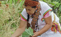 "Resistance": Video by the Emberá people of Colombia
