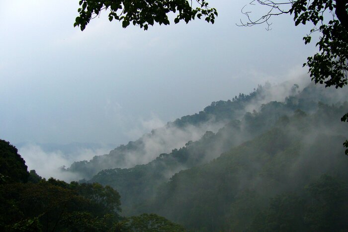Uganda mountains