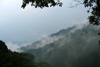 Press Release: Landmark judgement in Uganda highlights conservation's difficult history