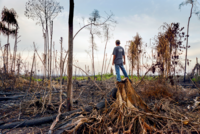“A war against us and our brothers and sisters defending their lands and the environment”: The stories behind the Zero Tolerance Initiative