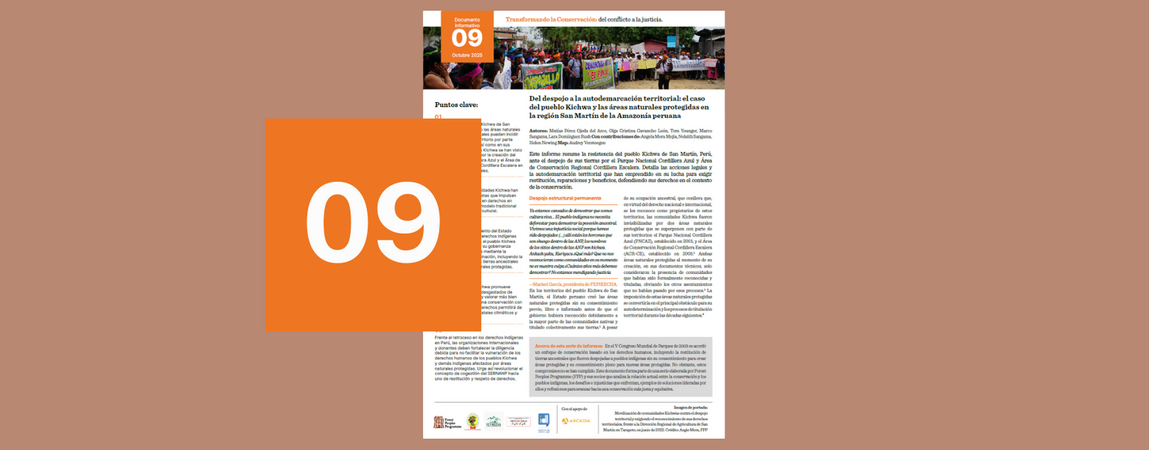 Del despojo a la autodemarcación territorial: el caso del pueblo Kichwa y las áreas naturales protegidas en la región San Martín de la Amazonía peruana