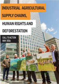 Líderes comunitarios hacen un llamado a la acción sobre las violaciones de los derechos humanos y la apropiación de tierras vinculadas con las cadenas de suministro del aceite de palm