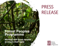 Press Release: Palm oil giant Golden Agri-Resources removed from Dow Jones Sustainability Index after bribery and corruption scandal – so what next for ‘sustainable’ palm oil?