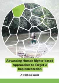 Advancing Human Rights-based Approaches to Target 3 Implementation