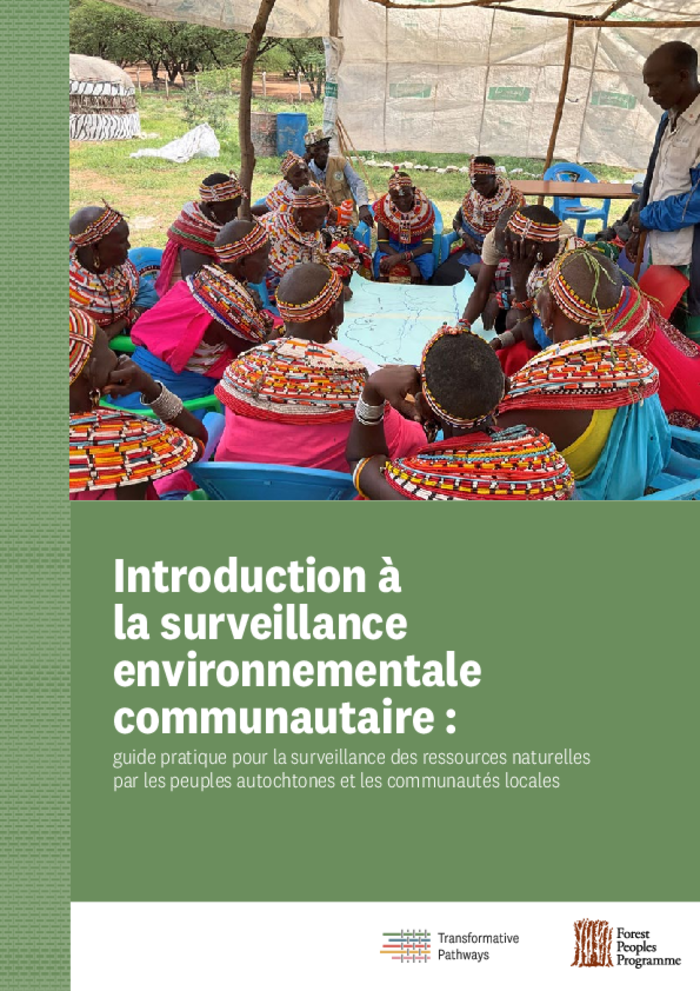 Introduction à la surveillance environnementale communautaire