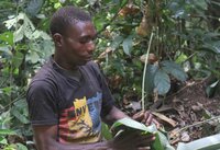 Rapport de lancement du projet « Navigateur Autochtone, données des Peuples Autochtones »