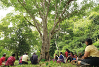 Nationally Determined Contributions in Asia: Are Governments recognizing the rights, roles and contributions of Indigenous Peoples?