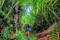 The global framework to save nature will only be effective if the rights and contributions of Indigenous Peoples and Local Communities are fully recognized