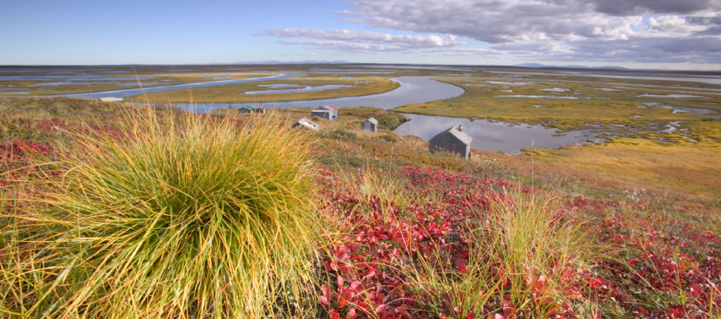 Inuit hunting lodges at the mouth of the Serpentine River on the Alaskan Tundra