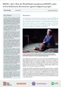REDD+ Alert: How the World Bank’s jurisdictional REDD+ pilot in East Kalimantan discriminates against indigenous peoples