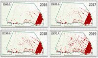 Deforestation of indigenous lands still increasing around Ocho Sur oil palm plantation in Peruvian Amazon