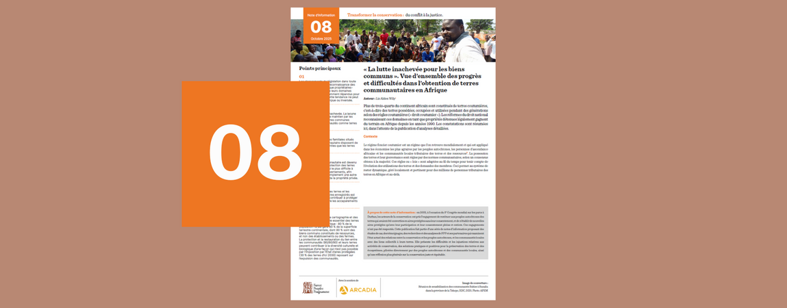 « La lutte inachevée pour les biens communs ». Vue d’ensemble des progrès et difficultés dans l’obtention de terres communautaires en Afrique