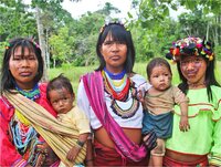 Indigenous Peoples propose safety protocol to tackle COVID-19 in Peruvian Amazon