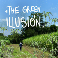 Comunicado de Prensa: El Pueblo Afro-Colombiano Denuncia el Lavado Verde de la Caña de Azúcar y Pide Justicia Ambiental en la COP16