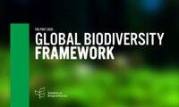 Renewed negotiations towards the post-2020 global biodiversity framework: advancing indigenous peoples’ rights in Geneva