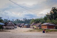 Stepping up: Protecting collective land rights through corporate due diligence