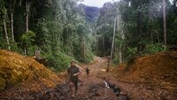 Borneo’s last remaining pristine rainforest under threat from proposed Infrastructure Project funded by Asian Development Bank