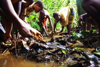 Including human rights in the post-2020 Global Biodiversity Framework