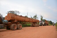 Forest Peoples Programme feedback to the European Commission consultation on its proposal for a Directive on Corporate Sustainability Due Diligence